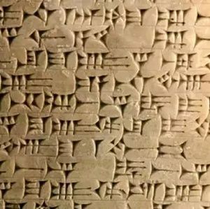 Meet your Posher, Jack